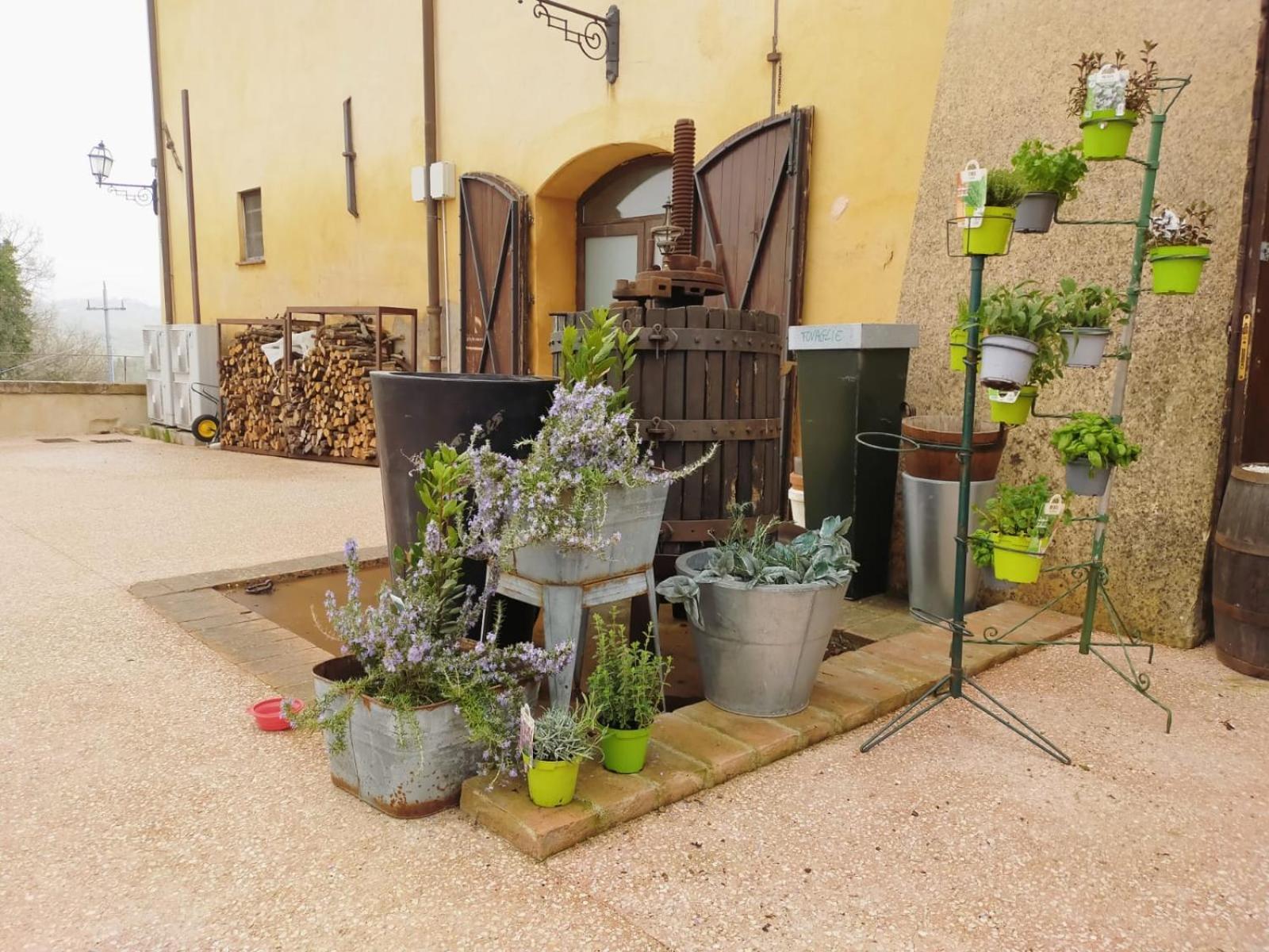 Villa Locanda Di Casigliano Casigliano  Exterior foto
